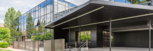 _MG_8367-1